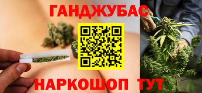 стафф Камышлов