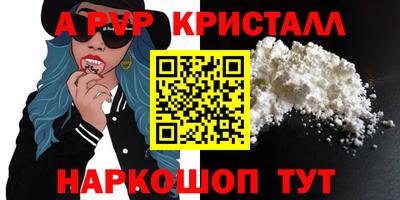 стафф Камышлов