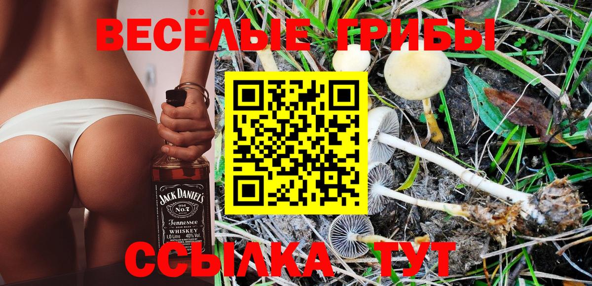 Псилоцибиновые грибы Cubensis Лабинск