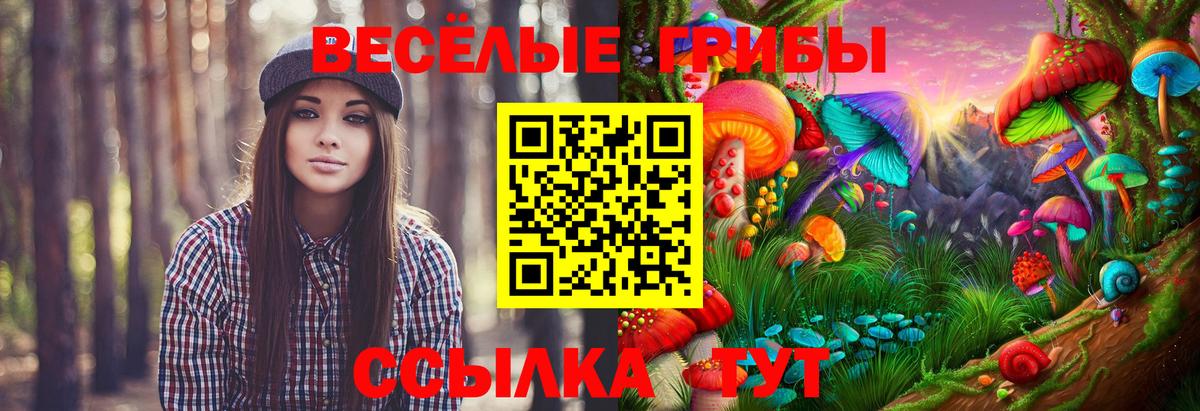 Галлюциногенные грибы ЛСД  Галлюциногенные грибы GOLDEN TEACHER  Вход с VPN  Лабинск 
